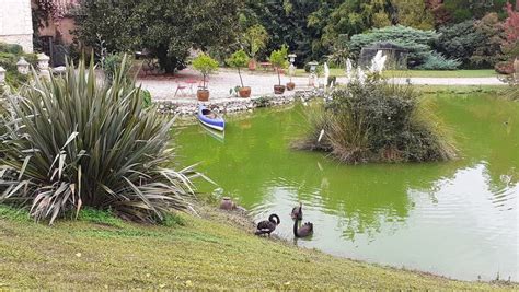 Le Jardin Botanique de Querétaro: Un havre de paix verdoyant et une ode à la biodiversité mexicaine !