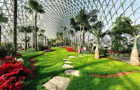 Le Jardin Botanique de Zhangzhou: Un havre de paix vert et luxuriant pour les amoureux de la nature !