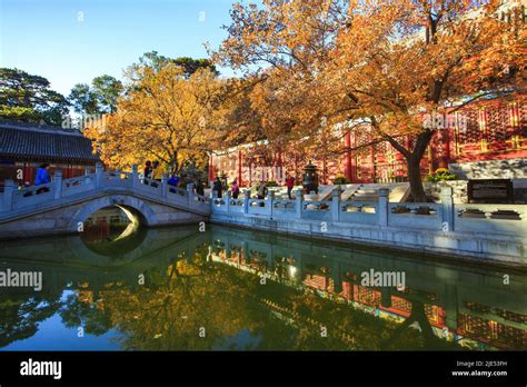  Le Parc de la Rivière Xiangshan: Une Odyssée Botanique et Culturelle Extraordinaire !